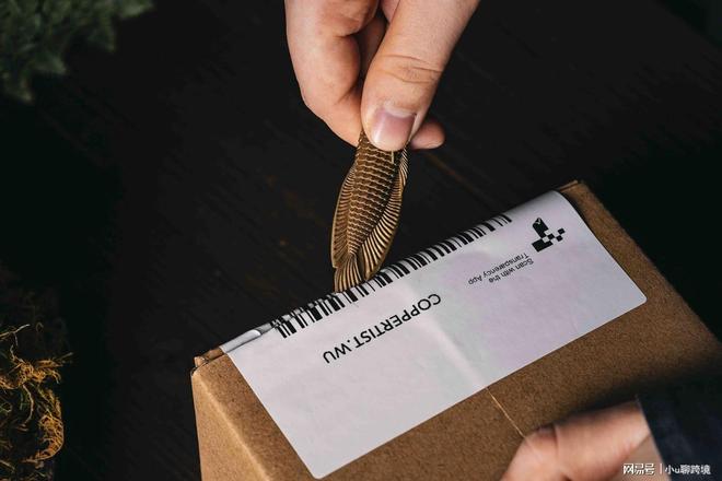 趣用品独立站给你更大的自由空间冰球突破技巧平台管控太严？情(图2)