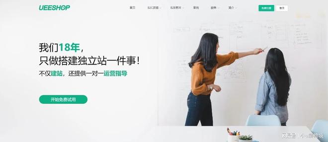 独立站都死在第一步？选平台避坑指南冰球突破豪华版为什么大多数的情趣(图1)