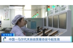 效！两国超95%产品将最终实现零关税冰球